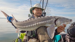 CATCH AND COOK STURGEON [upl. by Nylaret]