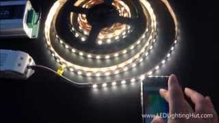 LEDLightingHut 4 In 1 RGBW SMD 5050 Flex LED Strip [upl. by Marguerie]