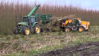 Short Rotation Coppice Harvesting and Forwarding [upl. by Naelopan836]