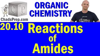 2010 Synthesis and Reactions of Amides  Organic Chemistry [upl. by Iddet]