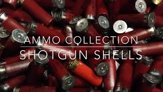 Ammo Collection Shotgun Shells [upl. by Dnaloy]