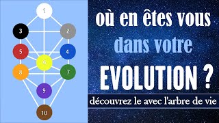 Comment savoir si je suis une vieille âme Comprendre lévolution avec larbre de vie [upl. by Willtrude]