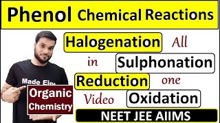 Phenol Halogenation with Mechanism  Reduction with Zn  Oxidation  Sulphonation  NEET JEE [upl. by Ogires]