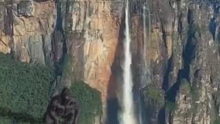 Giant Ape on Angel Falls  Venezuela [upl. by Goldfarb468]