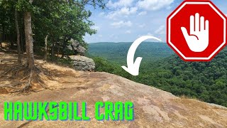 Hiking Hawksbill Crag A Scenic Adventure in Arkansas [upl. by Devonna]