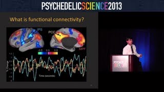 Brain Imaging Studies with Psilocybin and MDMA  Robin CarhartHarris [upl. by Jillie]