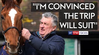 2024 Cheltenham Festival contenders  PAUL NICHOLLS [upl. by Slade742]