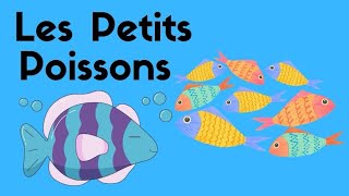 Comptine les Petits Poissons 🐟 [upl. by Itram]