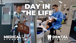 Day in the Life of a Medical Student vs Dental Student [upl. by Aerdnat20]