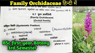 Family Orchidaceae in Hindi  BSc 2nd year Botany Third Semester [upl. by Adiaroz]