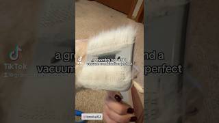 🐶Grooming a shedding dog without the mess groomingkit shorts shedding dog shorts [upl. by Earla591]