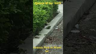 Jurassic Park in Miami lol short video ￼ [upl. by Aicetal295]