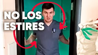 Nunca estires estos músculos ¡Está prohibido para todos estirar estos músculos [upl. by Ellehcin]