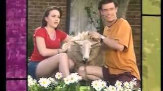 Neighbours 1996 Opening Titles Version 4 [upl. by Zuzana]