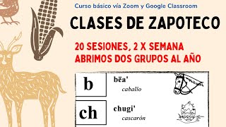 CLASES DE ZAPOTECO [upl. by Aiveneg]