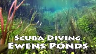 Scuba Diving in Ewens Ponds [upl. by Ardnaxila]