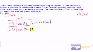 Herança Poligênica ou Quantitativa Megaaluno 4299 [upl. by Yesteb]