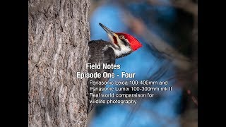 Panasonic Leica 100400mm and Panasonic Lumix 100300mm mk II comparaison for wildlife photography [upl. by Schick]