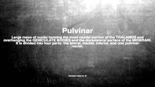 Medical vocabulary What does Pulvinar mean [upl. by Ellennahc]