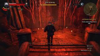 Witcher 3  Location of Viper Venomous Silver Sword in Whatsoever A Man Soweth [upl. by Tenahs]