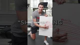 Build Tendon Strength with These Exercises [upl. by Sergias303]