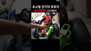 전기차 220v로 충전하는 신박한 방법⁉️ 트위지 소형전기차 전기차220v충전 [upl. by Leoni]