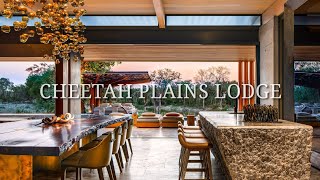 Lavish Eco Glampimg at The Spectacular Cheetah Plains Lodges [upl. by Yekcor]