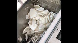 Coconut kernel shredding with the Urschel® Comitrol® Model 3640A [upl. by Kosak873]