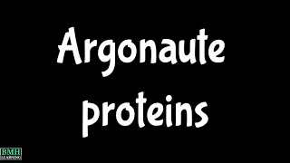 Argonaute Proteins [upl. by Genvieve207]