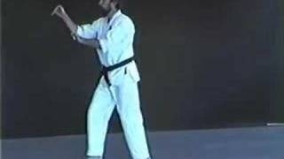 Sanseiryu kata UechiRyu karate [upl. by Kristine]