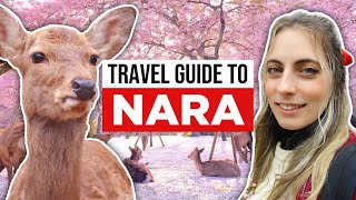 Ultimate Guide to NARA JAPAN [upl. by Barger901]