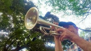 【Count Bubba  Gordon Goodwin 】Lead Trumpet [upl. by Lilyan]