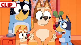 Bluey Season 3 Episode 27 quotMusical Statuesquot Episode Clip  disneyjr  BlueyOfficialChannel​ [upl. by Clere848]