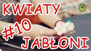 Kwiatki z bibuły 10  kwiaty jabłoni [upl. by Drhacir]