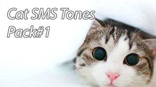 Funny Ringtones  Cat SMS Tones [upl. by Iret22]