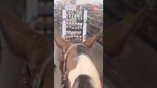 Riding A Horse In The Store explorepage [upl. by Nino907]