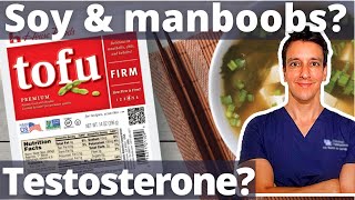 Does Soy cause manboobs Gynecomastia Testosterone Estrogen [upl. by Redliw]