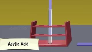 Properties of Acetic Acid  MeitY OLabs [upl. by Achilles]