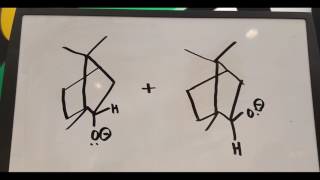 reduction of camphor to borneol and isoborneol v2 [upl. by Lal677]