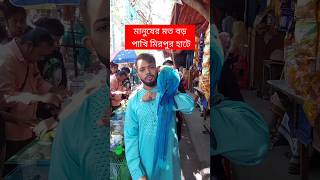 মানুষের মতো বড় পাখি মিরপুর হাটে  পাখি  Pakhi  মিরপুর ১ পাখির হাট  টিয়া পাখি  Tiya Pakhi short [upl. by Lobel]