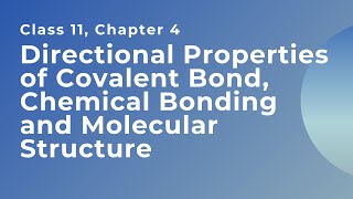 Directional Properties of Covalent Bond Class 11 Chemical Bonding and Molecular Structure [upl. by Gascony471]