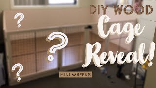 DIY Wood Cage Reveal  Pet Room Upgrade Part 4 [upl. by Eberto]