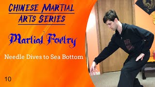 Chinese Martial Arts Series Martial Poetry 10 Needle Dives to Sea Bottom [upl. by Micheil35]