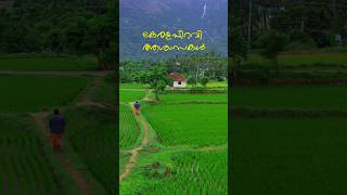 Kerala Piravi status Keralam Gods own country kerala tourism whatsapp status [upl. by Madelina]