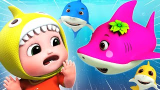 The Boo Boo Song  Baby Shark Boo Boo Song  Nursery Rhymes For Kids  Baby Songs [upl. by Polinski]