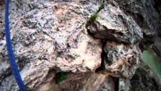 Video of Royal Arch Rappel Grand Canyon no sound [upl. by Yelreveb]