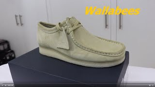 Wallabees Unboxing review amp on feet [upl. by Tania244]