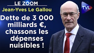 Parasitisme clientélisme Haro sur les dépenses nuisibles   Le Zoom  JeanYves Le Gallou  TVL [upl. by Neelik]