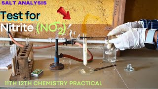 Test for nitrite ion NO2  salt analysis for anion 11th 12th chemistry saltanalysis lab [upl. by Sanferd]