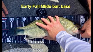 Glide bait bass fishing [upl. by Kcirdec]